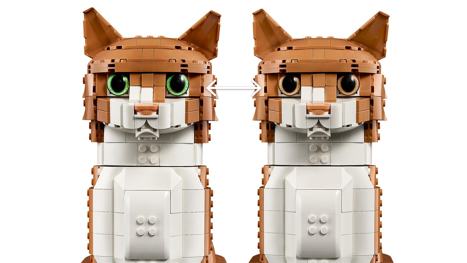 Orange katt - 21376 - 3