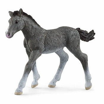 Trakehnarföl - Schleich 13944