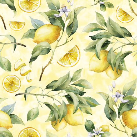Matservetter Citroner 20-pack