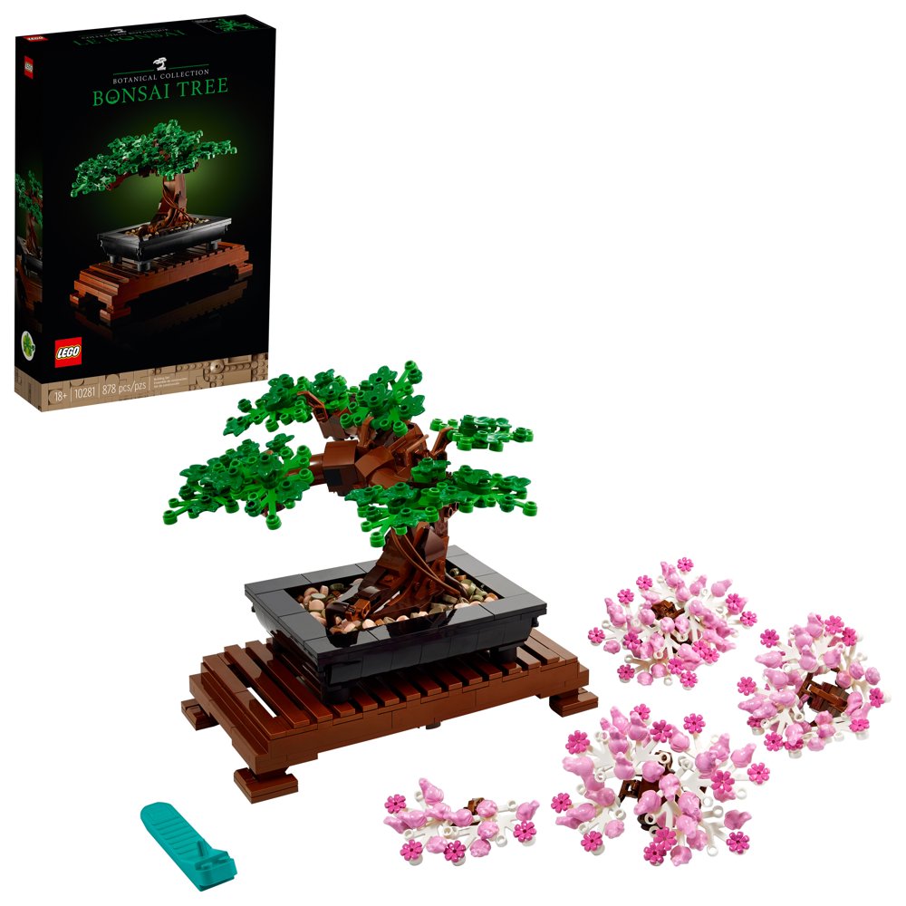 Bonsai Tree - 10281