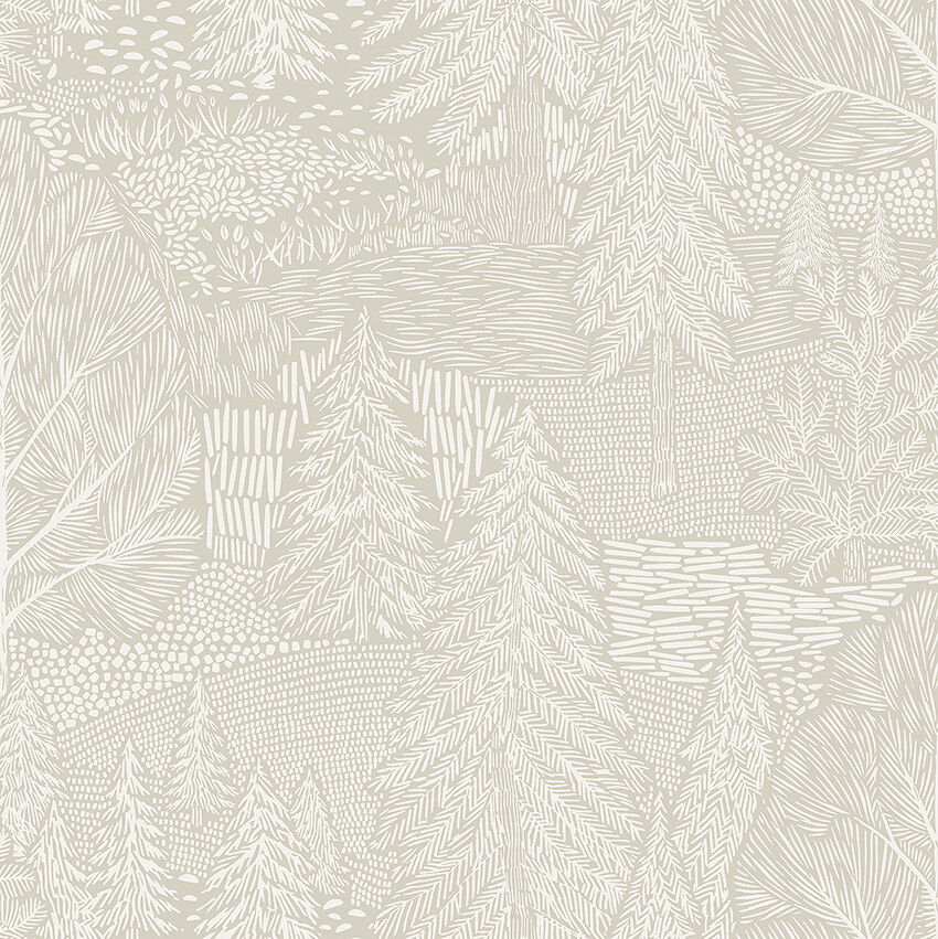 Northern Forest - 4703