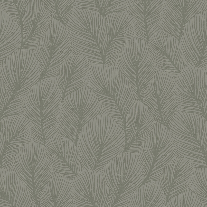 Pine Tree - 4704