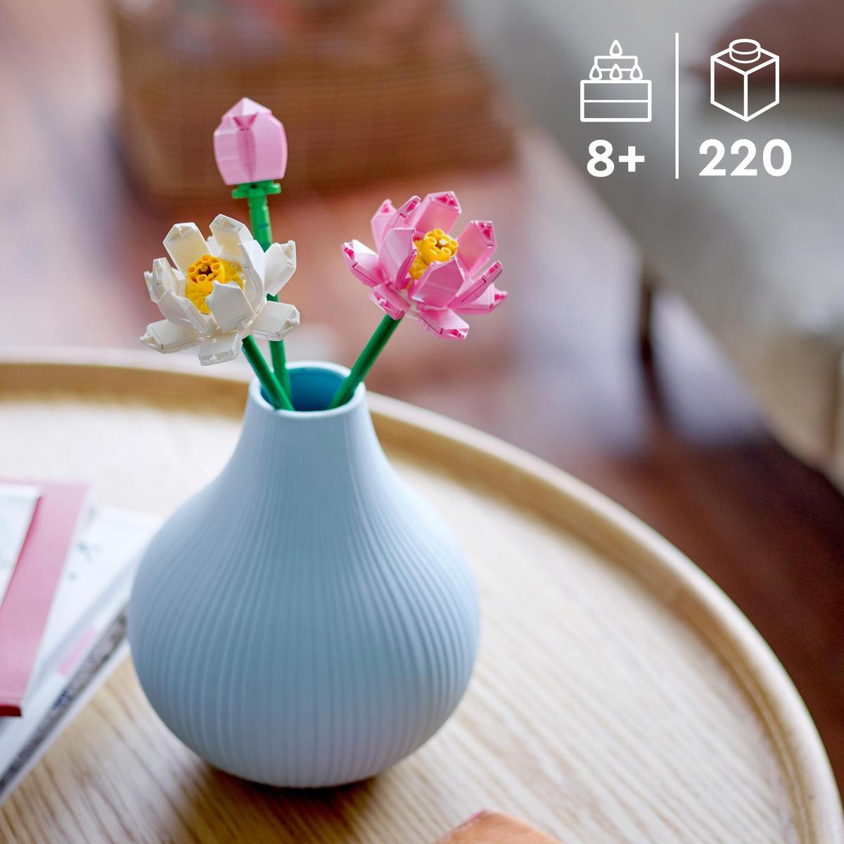 Lotusblommor - 40647 - 2
