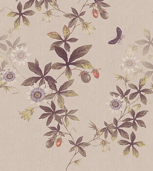Passiflora - 539-01