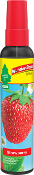 Wunder-Baum Pumpspray, Jordgubb