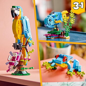 Exotisk Papegoja 3-i-1 - 31136