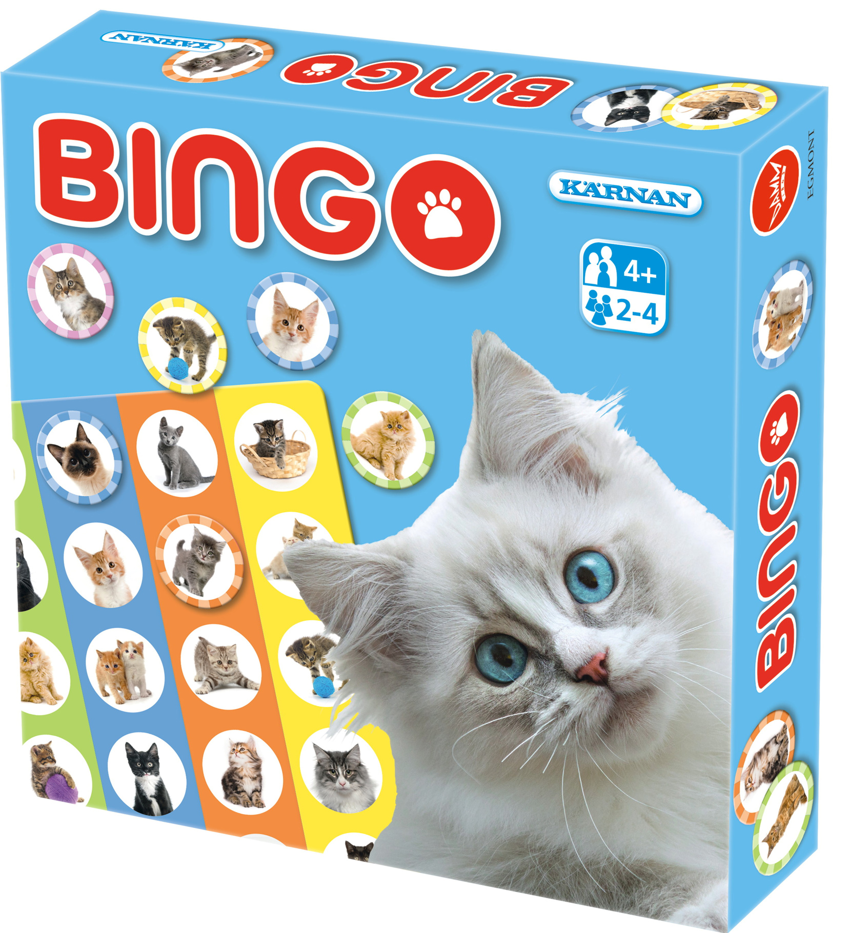 Bingo Katter