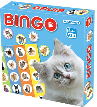 Bingo Katter