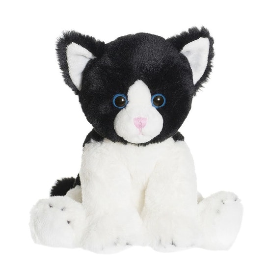 Katten Mojje