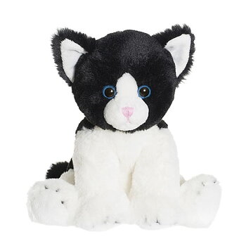 Katten Mojje