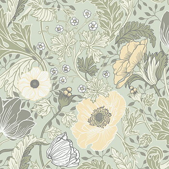 Anemone - 34034