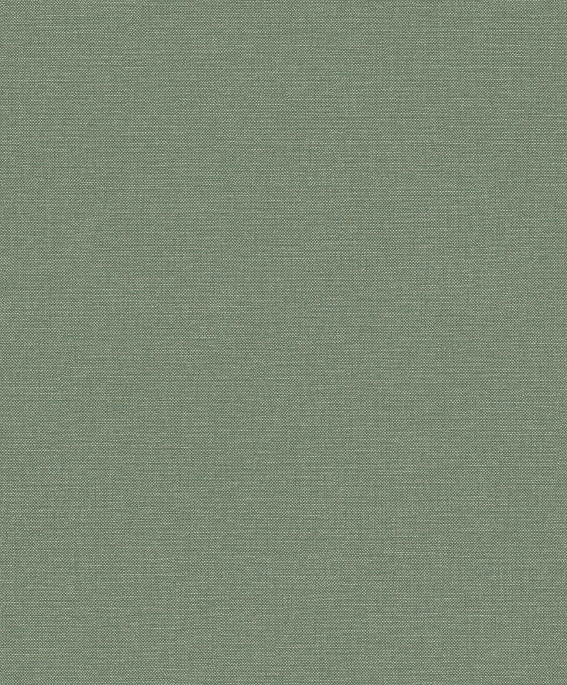 Linum 2 - LT10009