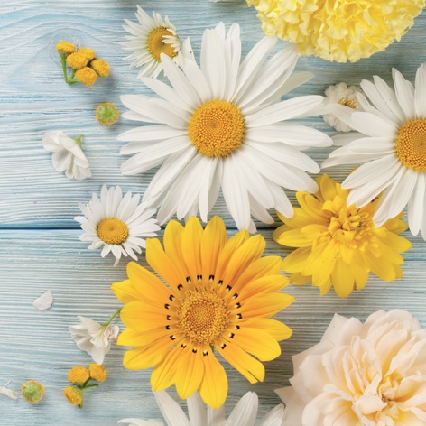Matservetter Blommor 20-pack