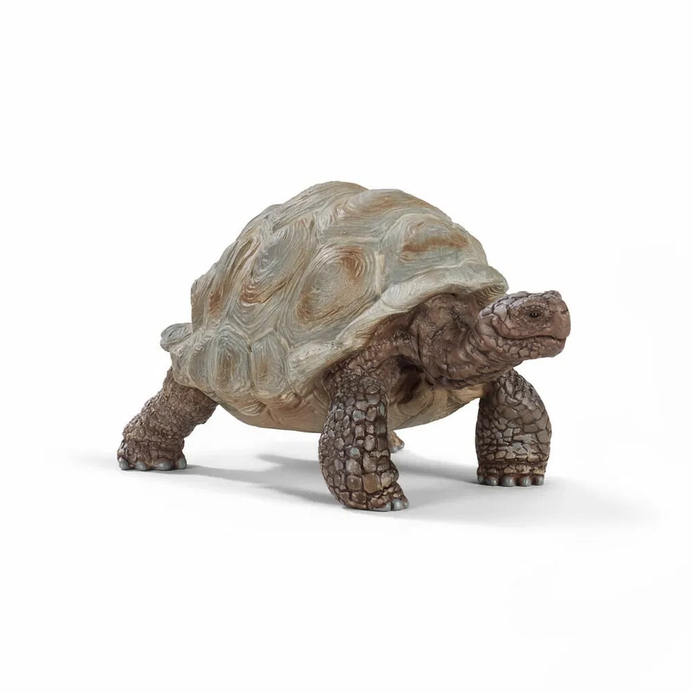 Sköldpadda, Jättesköldpadda - Schleich 14824