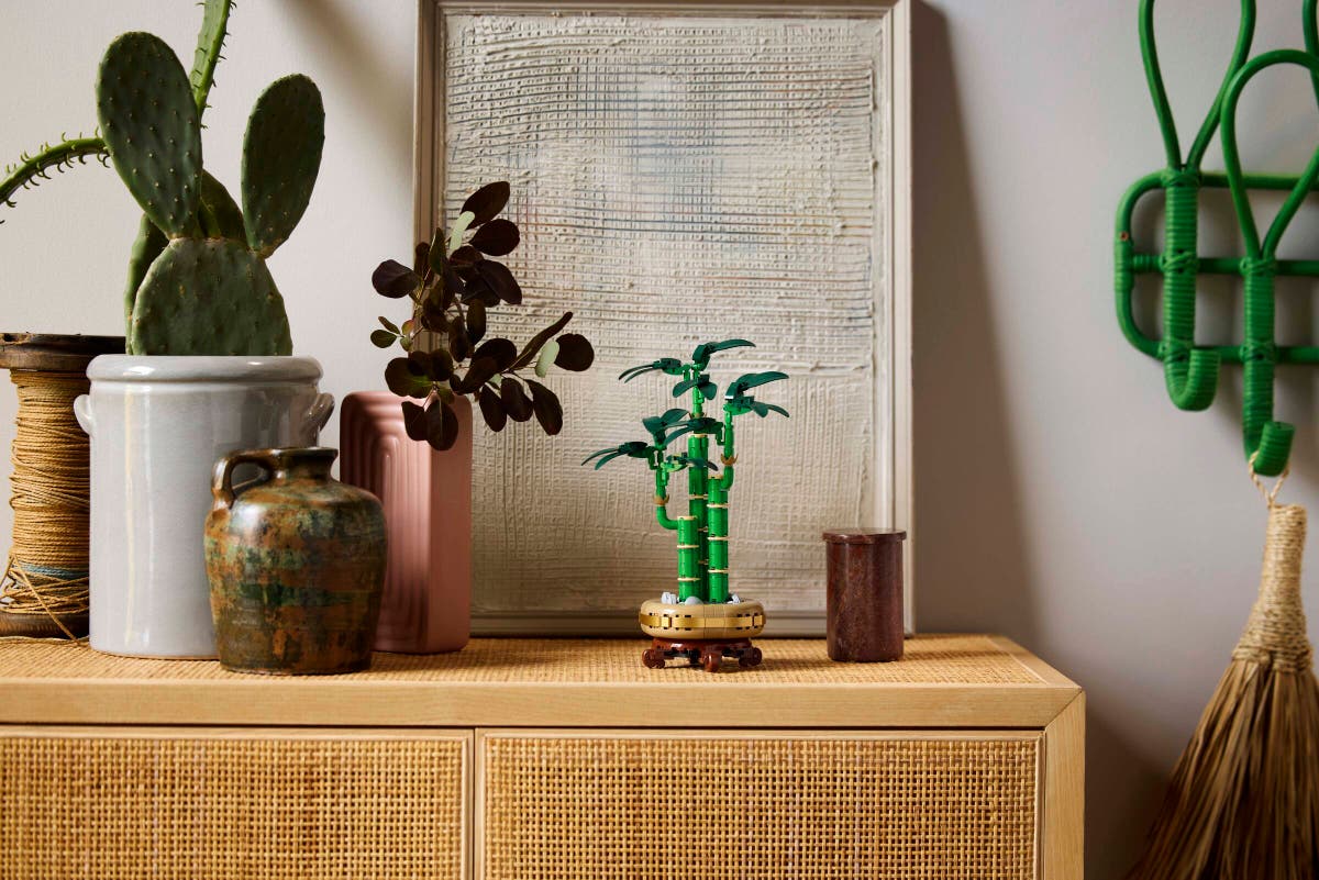 Bambudracena - 10344 - 3