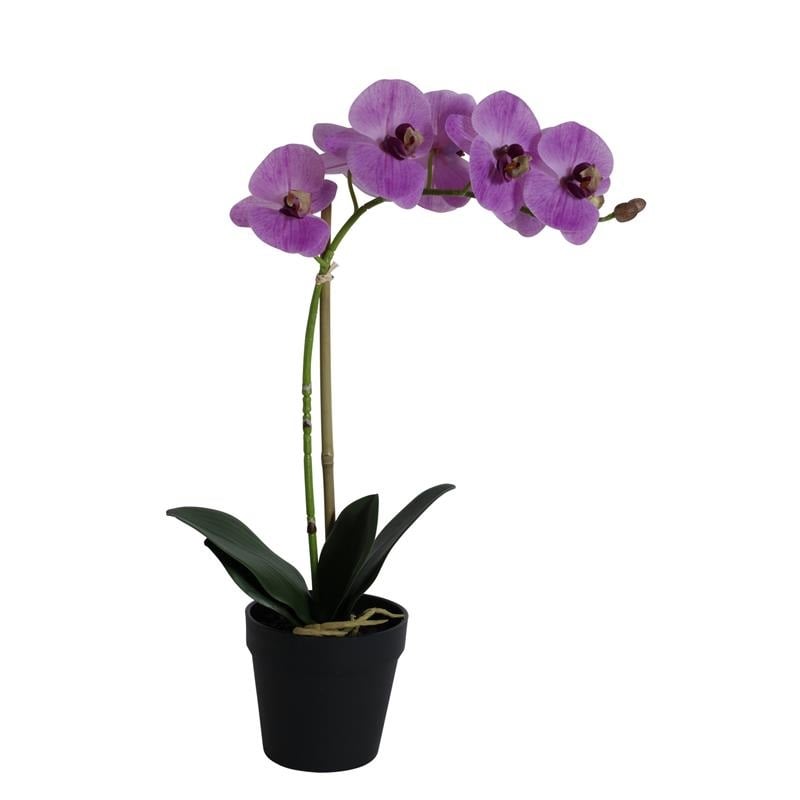 Orkide Lila 1 Stam 48cm