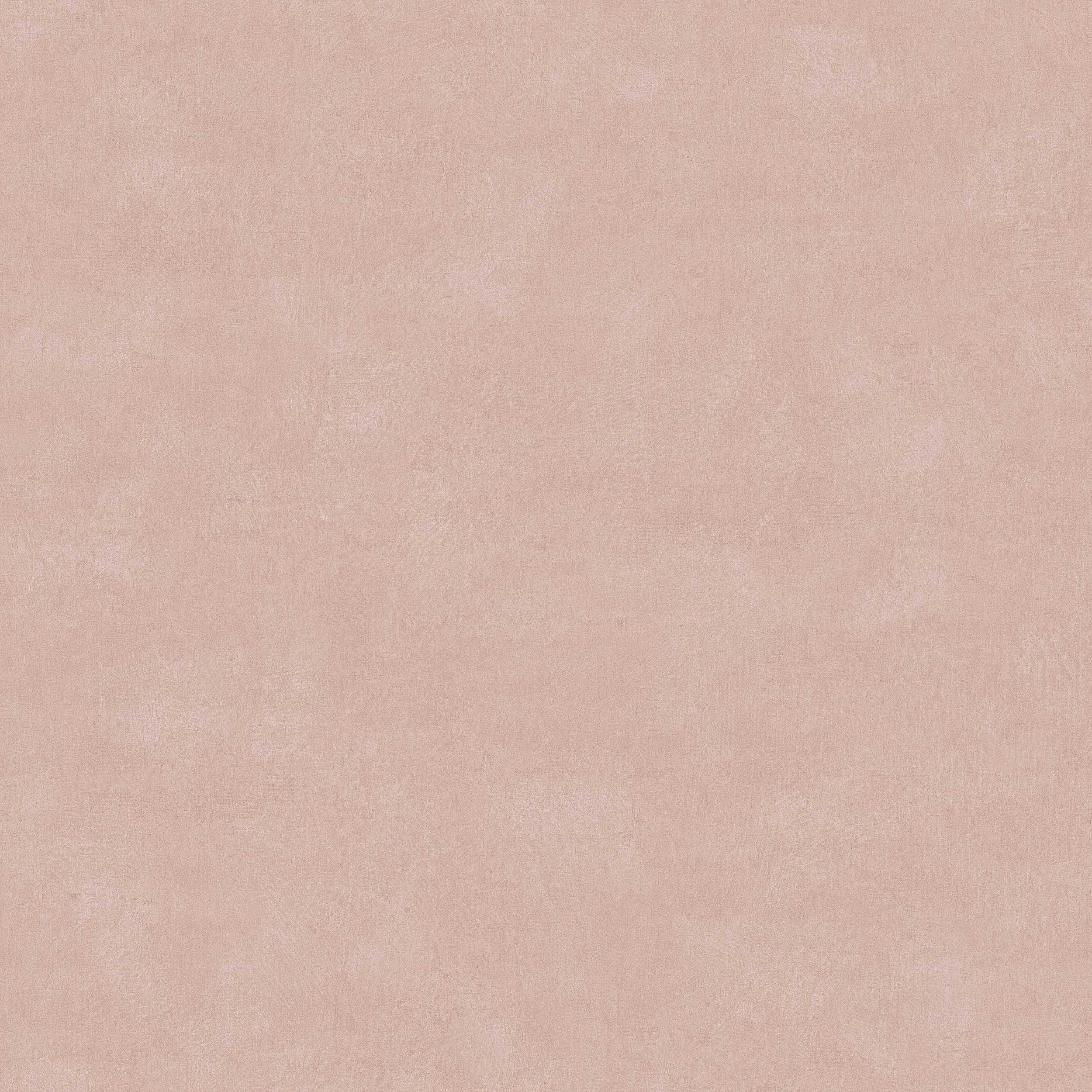 Shades Rhodonite - 6102
