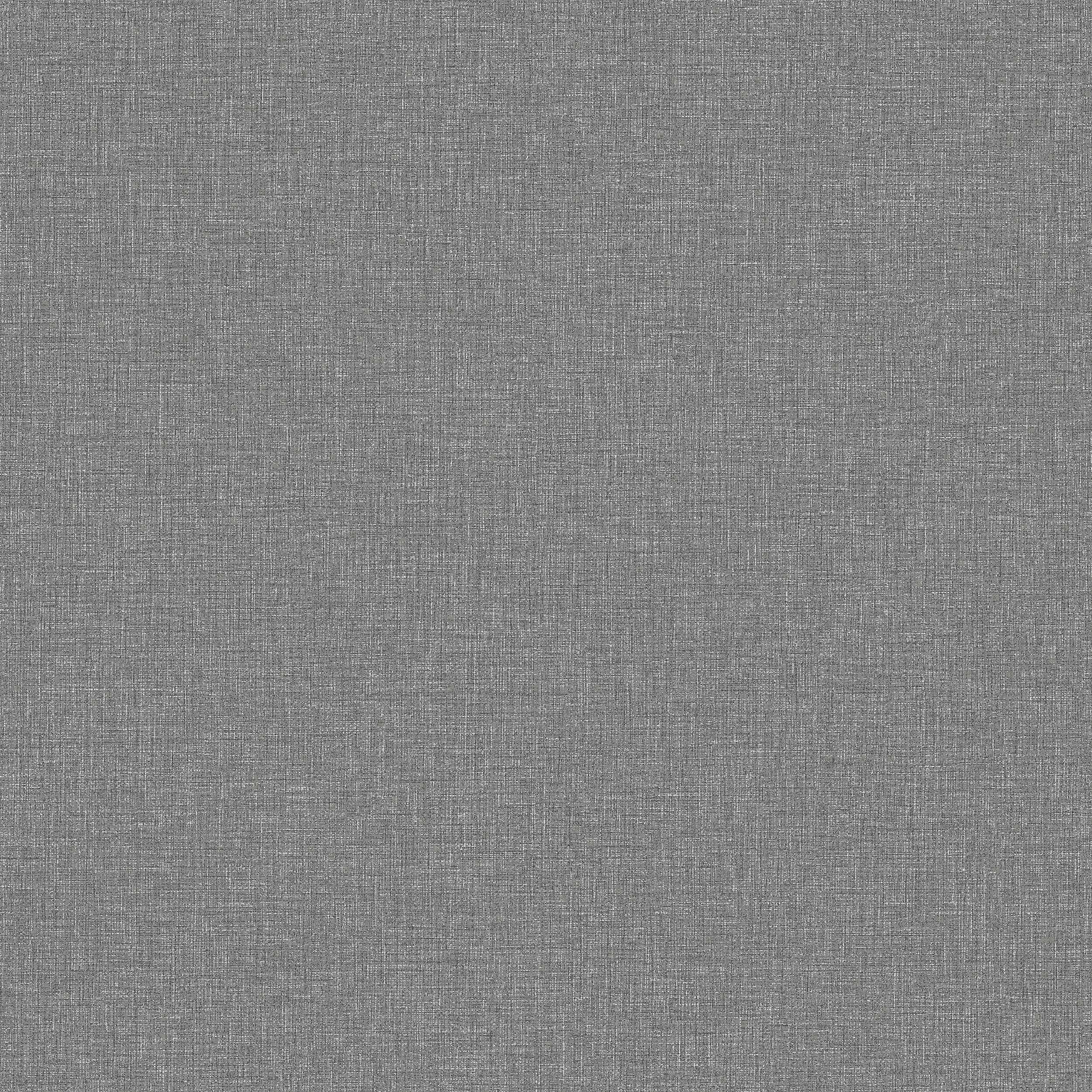Canvas Graphite - 6119