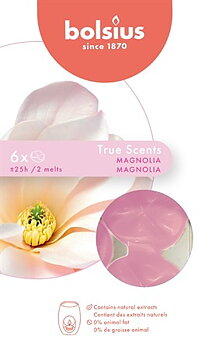 Doftvax Magnolia 6-pack