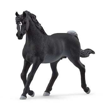 Arabhäst, hingst - Schleich 13981