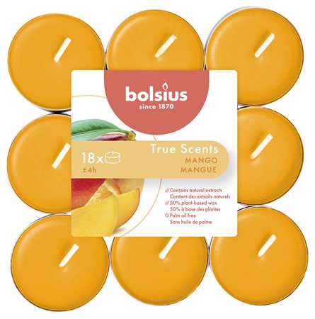 Doftvärmeljus Mango 18-pack