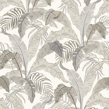 Botanic midnight - LOT002