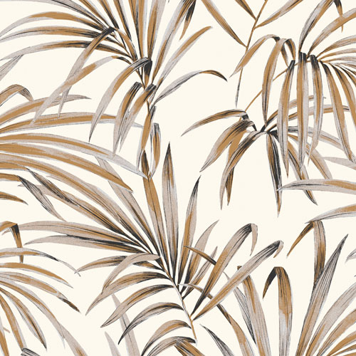 Palm ginger - LOT107