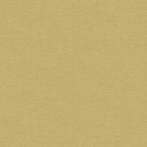 Gini cocoon - LOT801