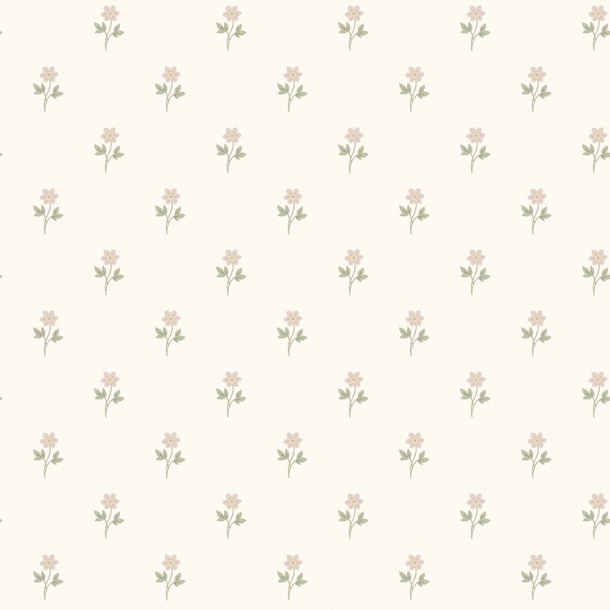 Anemone - 6973
