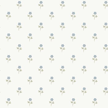 Anemone - 6974