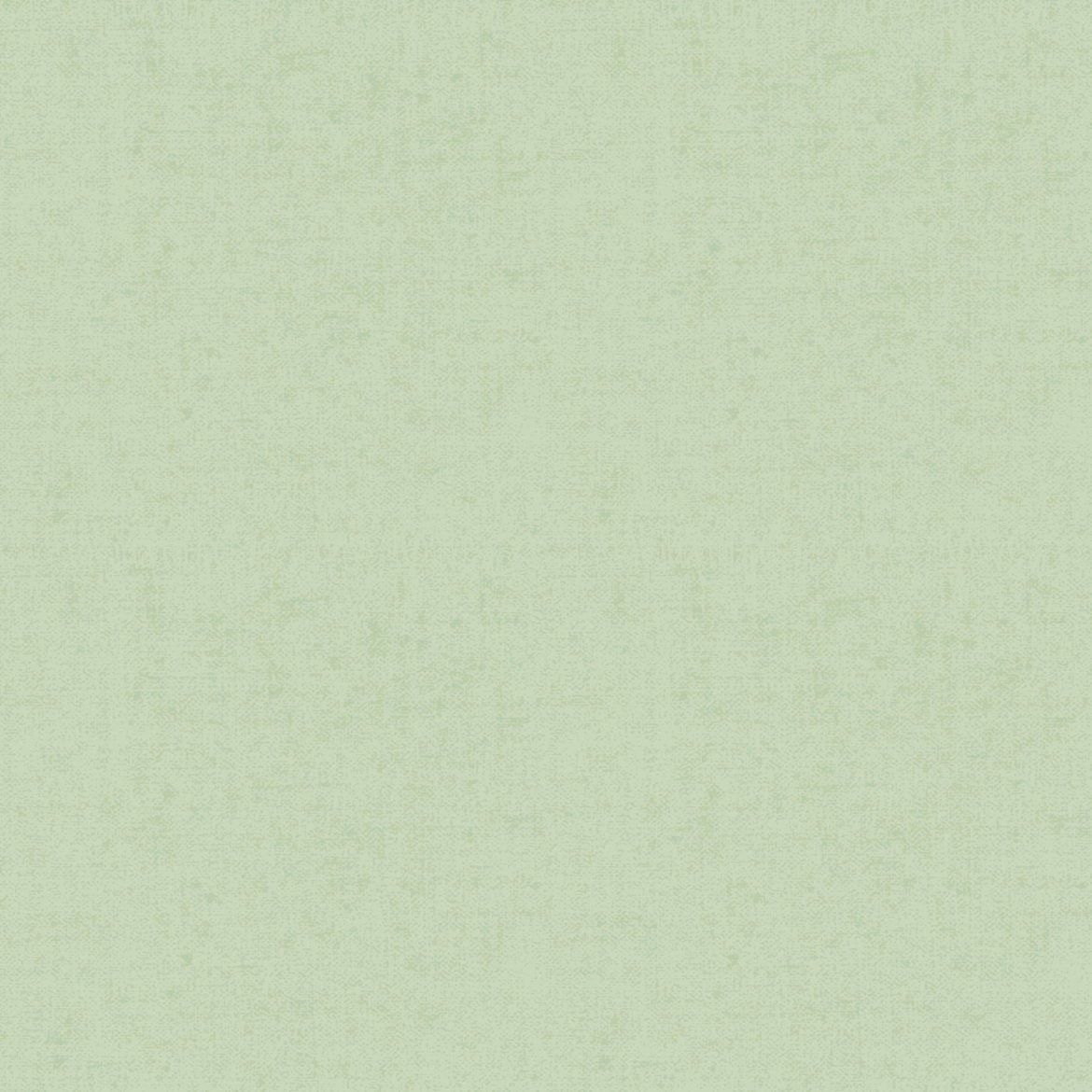 Linne, Ljus björk - 415-20
