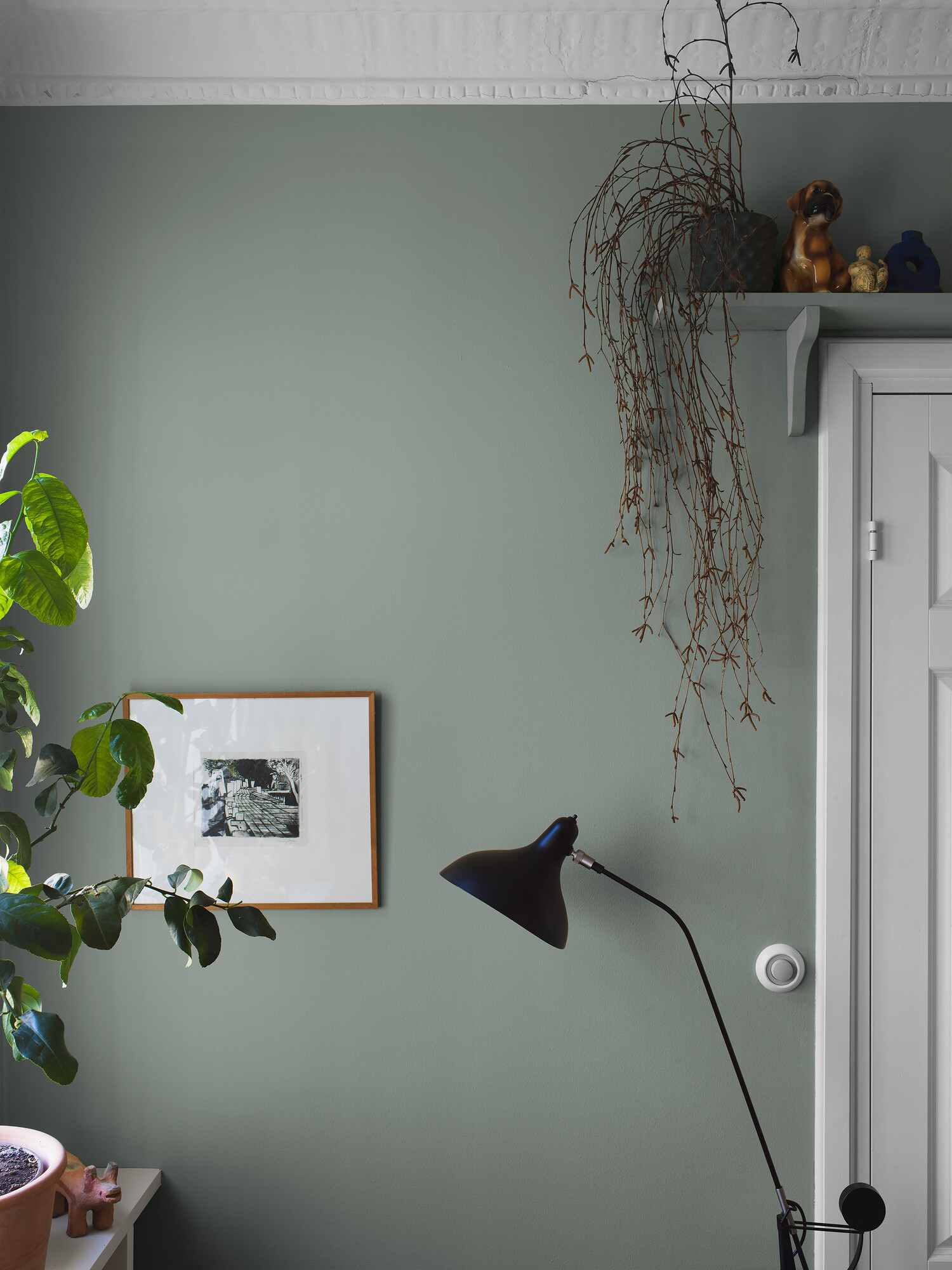 Copper Green - 7557