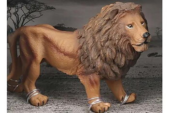 Animal Universe Lejon