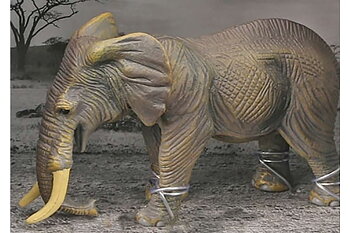 Animal Universe Elefant