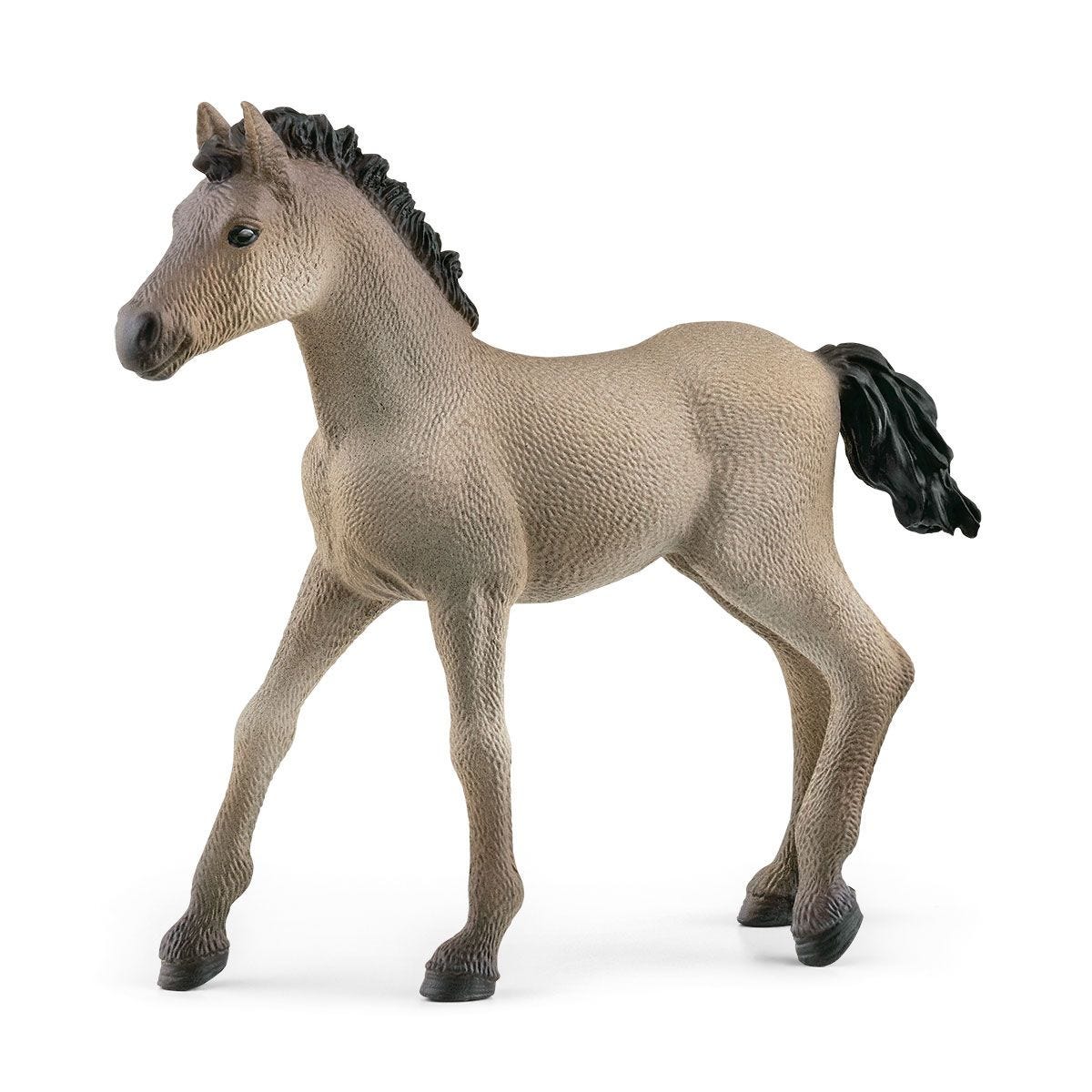 Criollo-föl - Schleich 13949