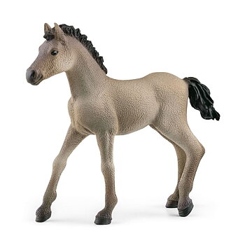 Criollo-föl - Schleich 13949
