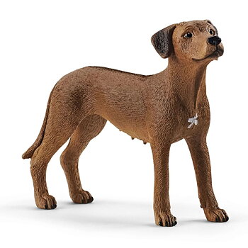 Rhodesian Ridgeback - Schleich 13895