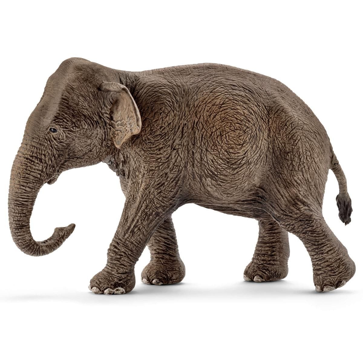 Asiatisk elefanthona - Schleich 14753