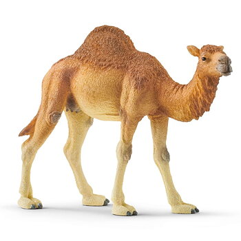 Dromedar - Schleich 14832