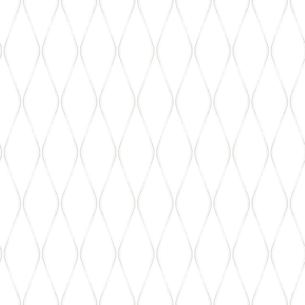 Fiona Home Paper - 100501