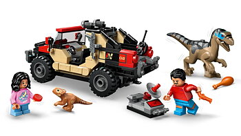 Terrängflykt med Raptor - 76972