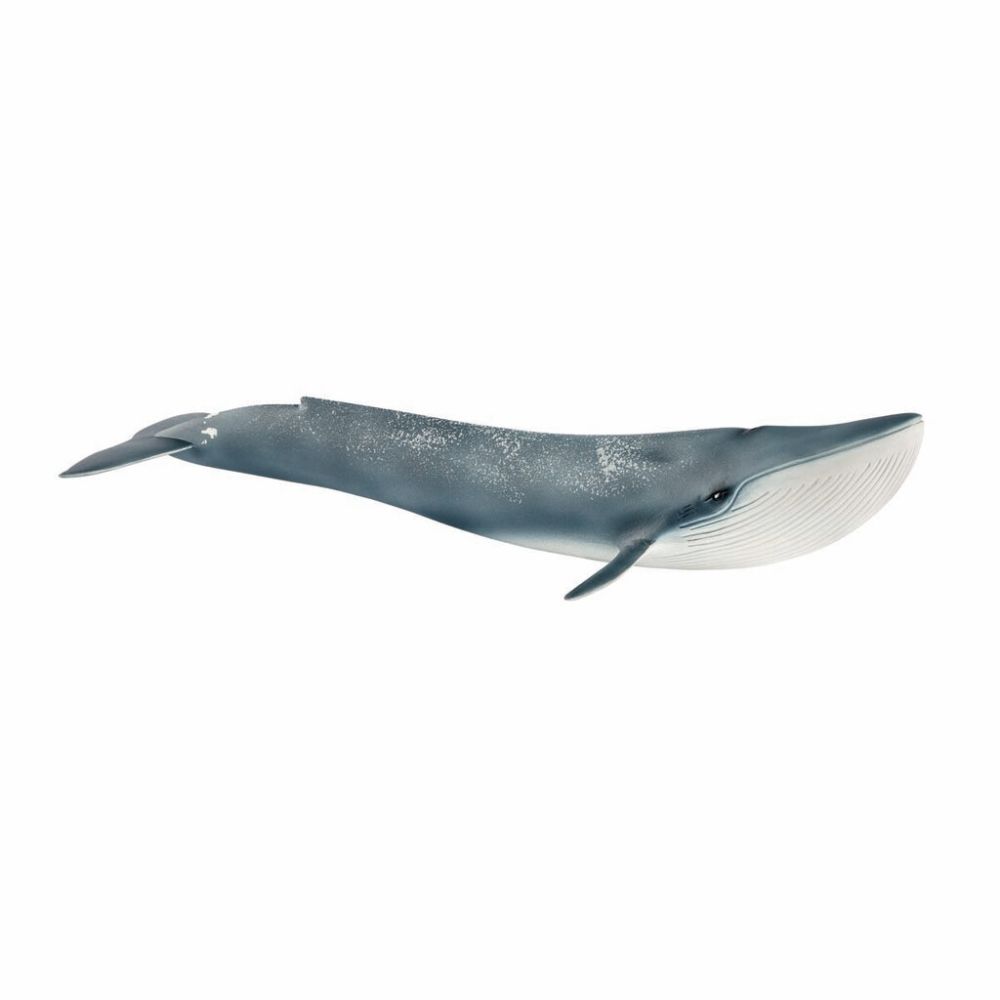 Val, Blåval - Schleich 14806