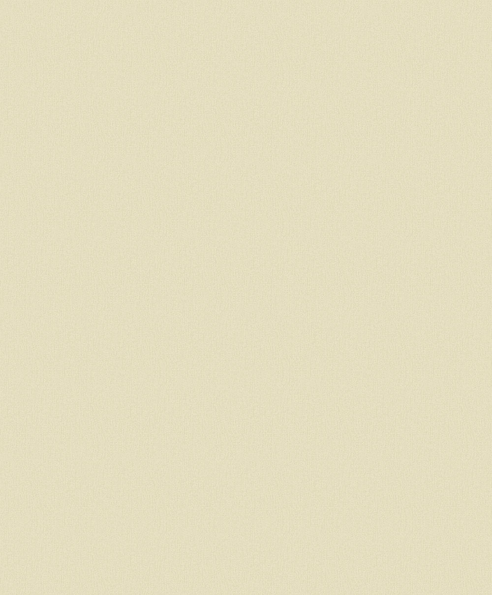 Fiona Home Paper - 100906