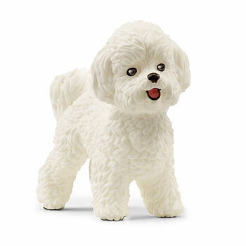 Hund, Bichon frisé - Schleich 13963