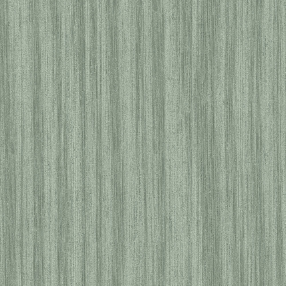 Midolin Eucalyptus - 17218