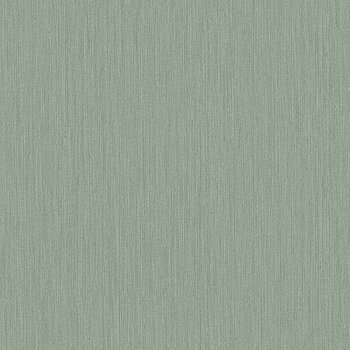 Midolin Eucalyptus - 17218