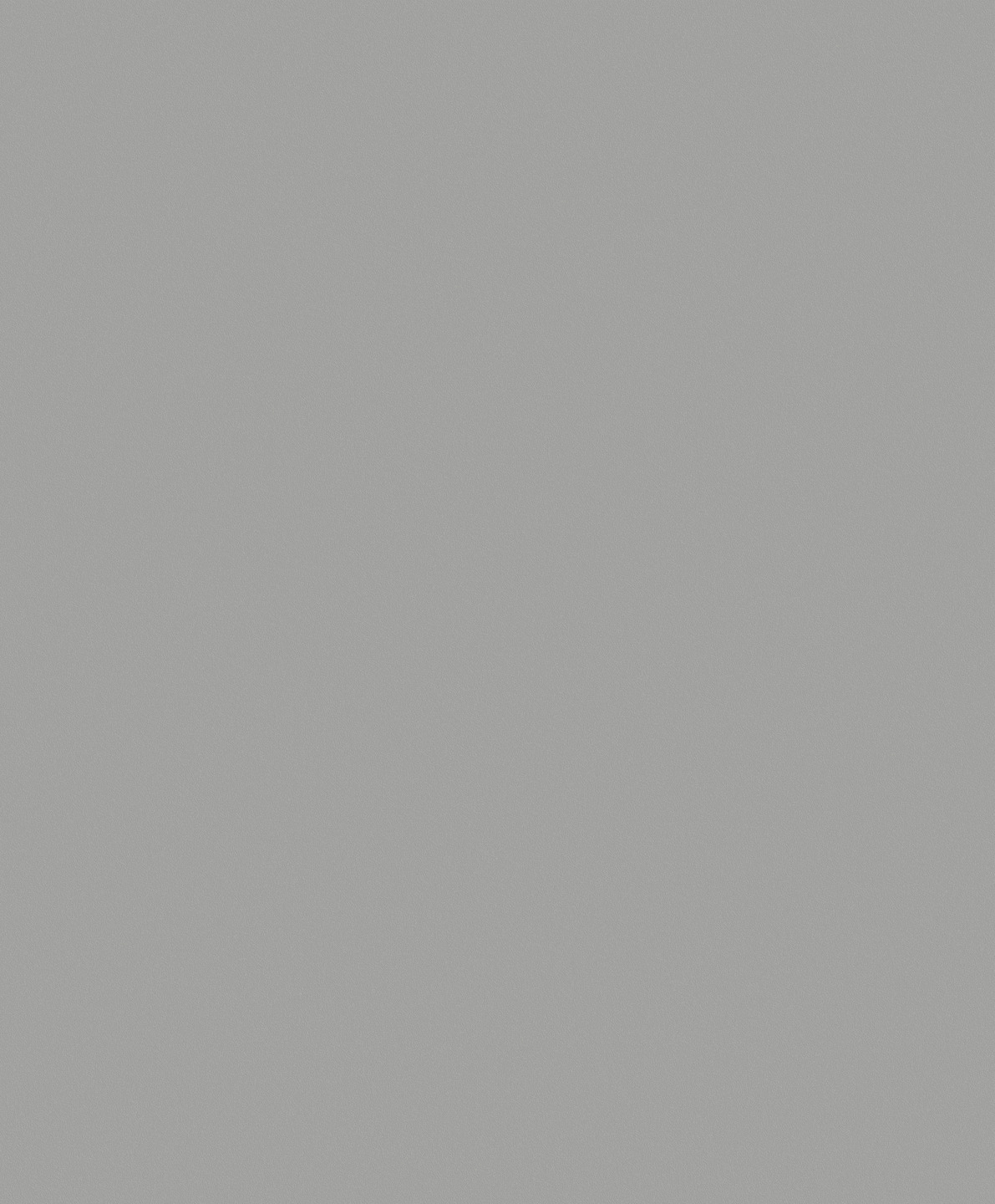 Nordic Elegance - 630215