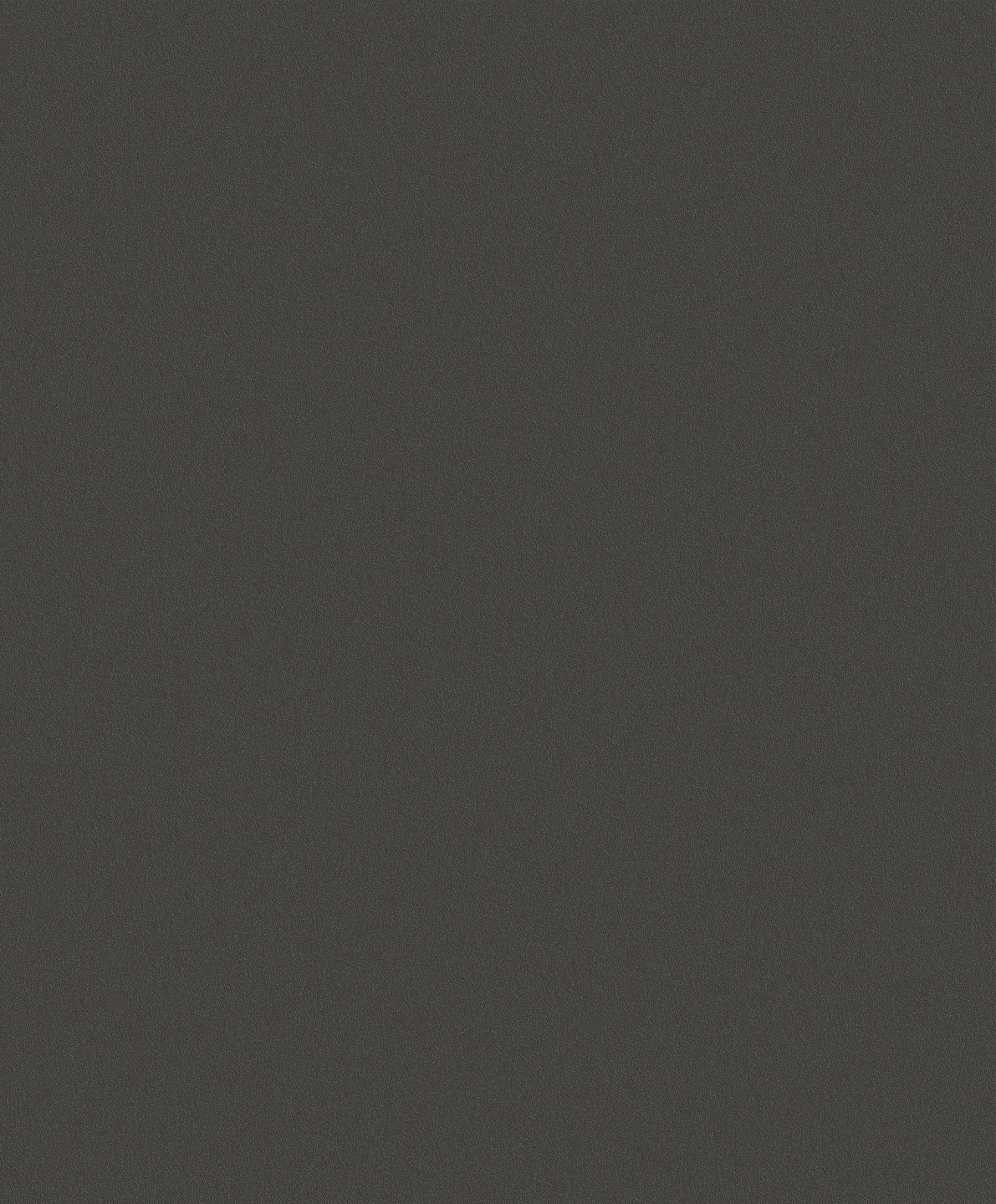 Nordic Elegance - 630220