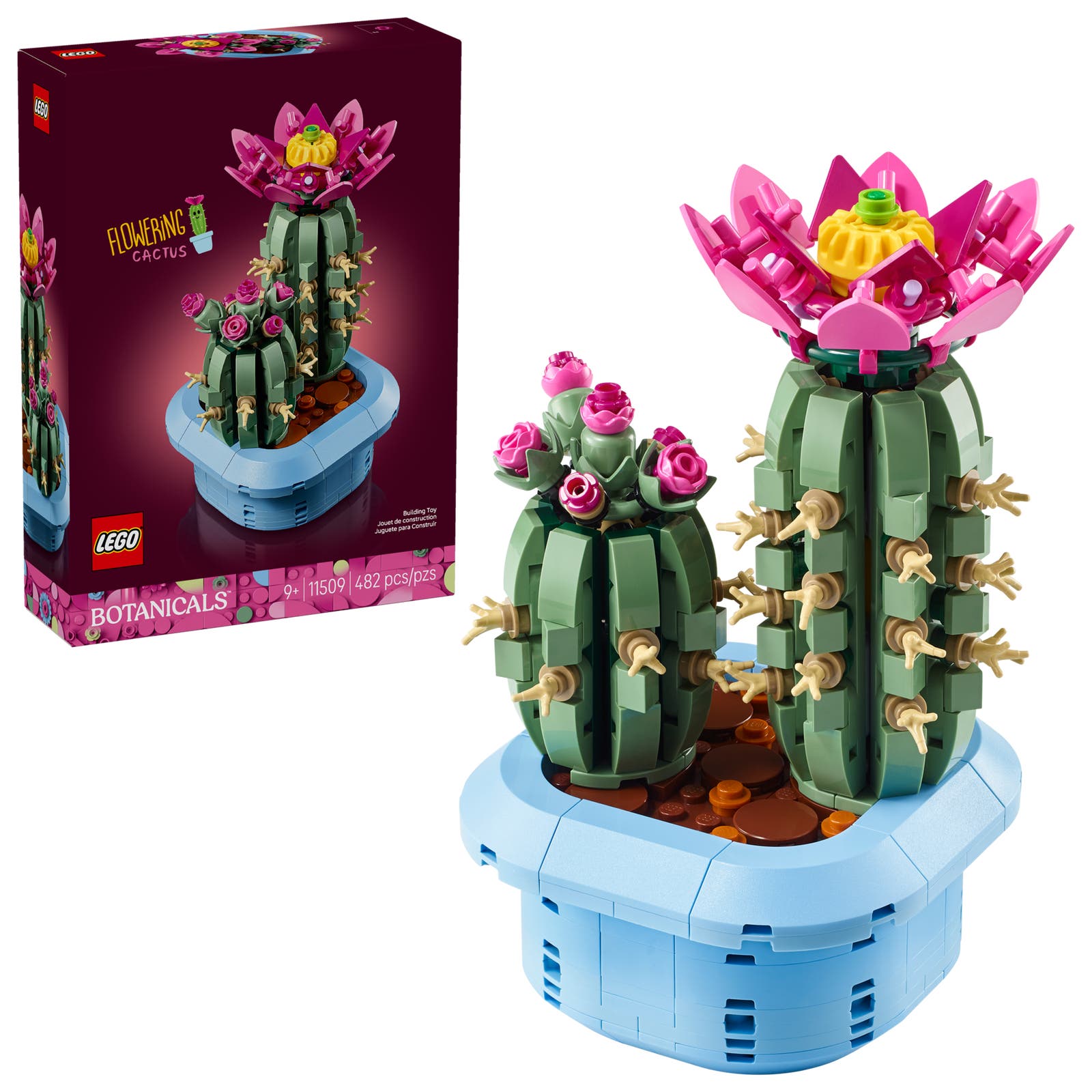 Blommande Kaktus - 11509