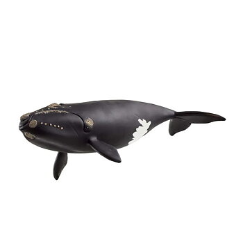 Val, Nordkapare - Schleich 14878